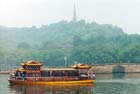 west lake, tea farm